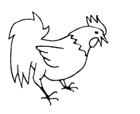 大公鸡怎么画卡通公鸡的画法图片大全-www.qqscb.com