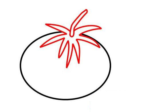 西红柿怎么画番茄的画法图片步骤素描-www.qqscb.com