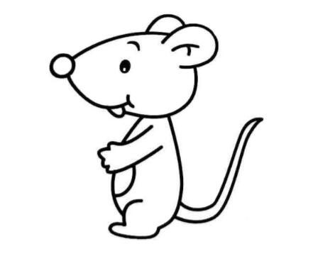 可爱小老鼠怎么画老鼠的画法步骤图片教程-www.qqscb.com