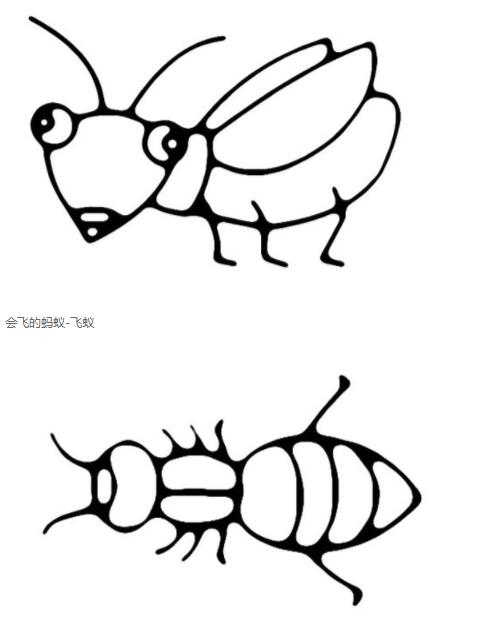 可爱蚂蚁怎么画卡通蚂蚁简笔画图片素描-www.qqscb.com