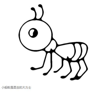 可爱蚂蚁怎么画卡通蚂蚁简笔画图片素描-www.qqscb.com