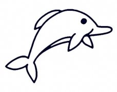 可爱的小海豚怎么画海豚简笔画图片大全