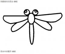 卡通蜻蜓怎么画蜻蜓简笔画图片步骤