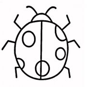 瓢虫怎么画七星瓢虫简笔画图片大全素描