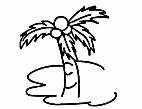 海滩风光画画 椰子树简笔画图片素描-www.qqscb.com