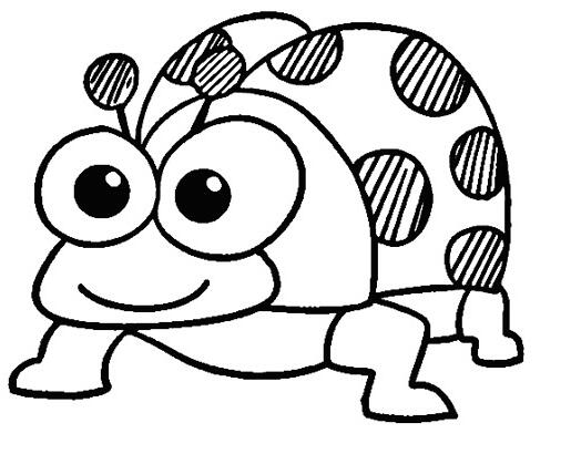 七星瓢虫怎么画 瓢虫的画法简笔画图片素描-www.qqscb.com