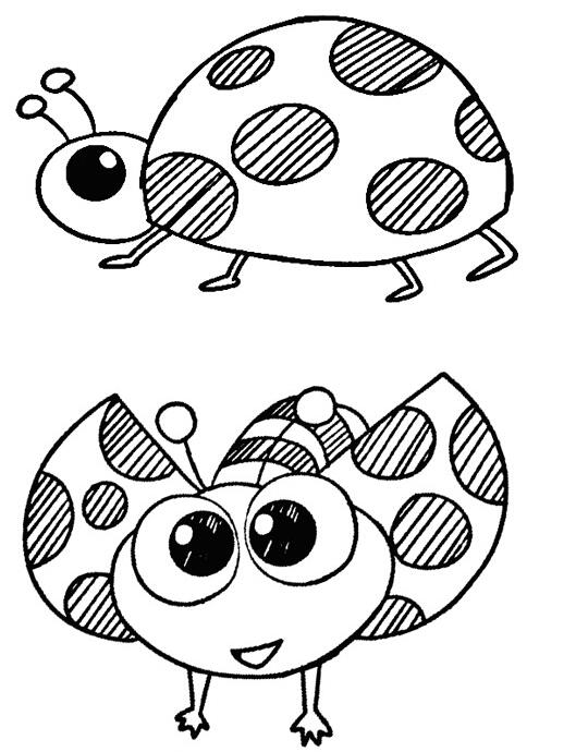 七星瓢虫怎么画 瓢虫的画法简笔画图片素描-www.qqscb.com