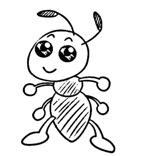蚂蚁怎么画 卡通蚂蚁的画法图片步骤素描-www.qqscb.com