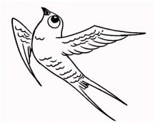 燕子怎么画 卡通燕子的画法图片步骤素描