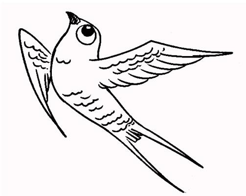 燕子怎么画 卡通燕子的画法图片步骤素描-www.qqscb.com