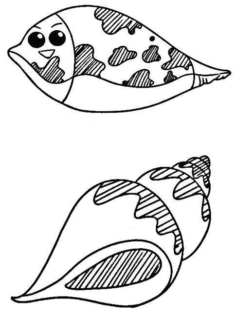 卡通海螺怎么画 海螺的画法步骤图片素描-www.qqscb.com