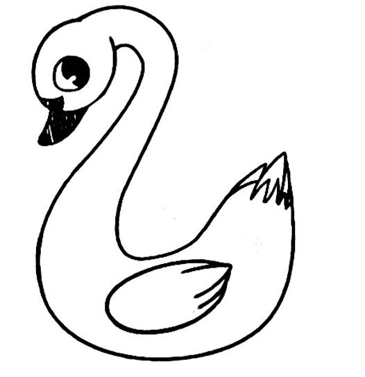 美丽天鹅怎么画 白天鹅的画法图片素描-www.qqscb.com