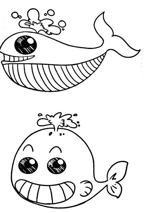 卡通鲸鱼怎么画 鲸鱼的画法步骤素描-www.qqscb.com
