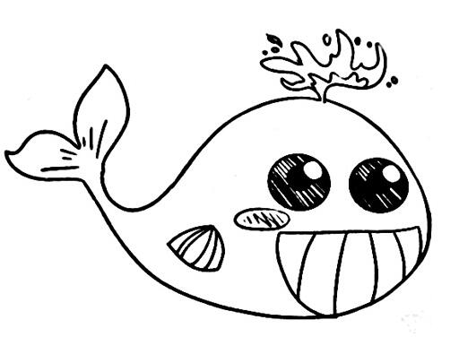 卡通鲸鱼怎么画 鲸鱼的画法步骤素描-www.qqscb.com