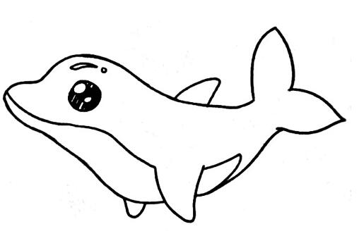 卡通海豚怎么画 海豚的画法步骤素描-www.qqscb.com
