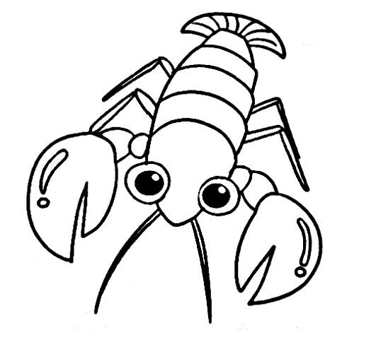 卡通大虾怎么画 明虾的画法步骤图片-www.qqscb.com
