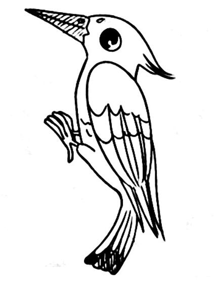 啄木鸟怎么画 卡通啄木鸟的画法图片素描-www.qqscb.com