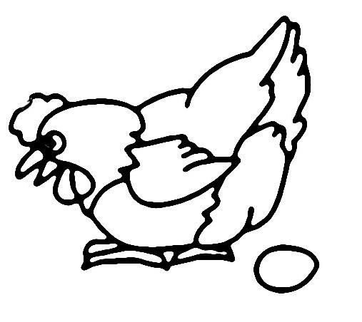 孵蛋母鸡怎么画 卡通母鸡的画法图片素描-www.qqscb.com