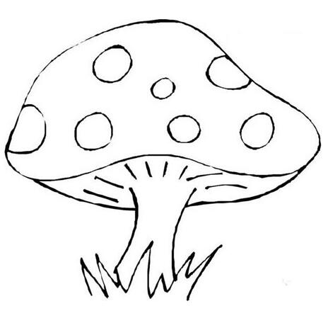卡通蘑菇怎么画 蘑菇的画法图片素描-www.qqscb.com