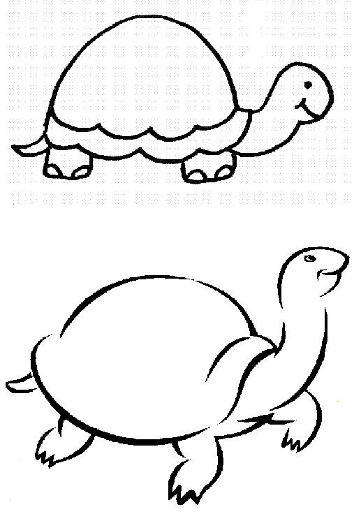 卡通乌龟怎么画 小乌龟简笔画的画法-www.qqscb.com