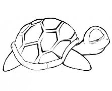 卡通乌龟怎么画 小乌龟简笔画的画法