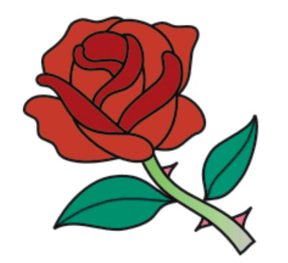 漂亮的玫瑰花怎么画 玫瑰花简笔画图片步骤-www.qqscb.com