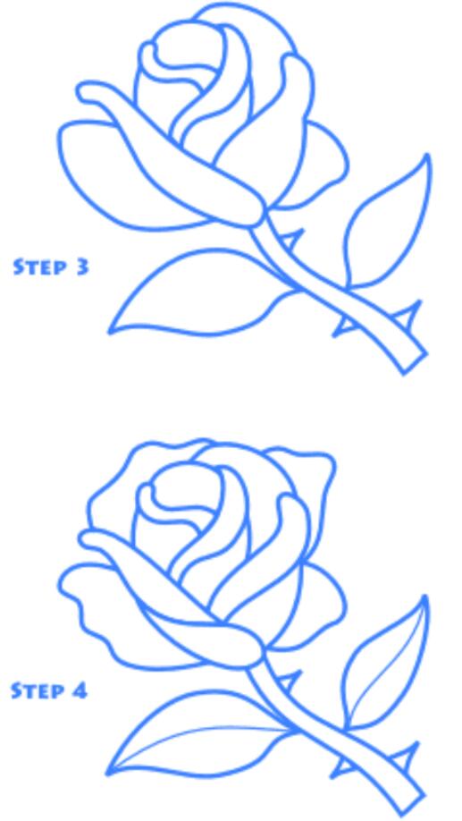 漂亮的玫瑰花怎么画 玫瑰花简笔画图片步骤-www.qqscb.com