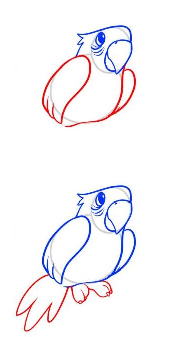 鹦鹉怎么画 鹦鹉的画法简笔画步骤素描-www.qqscb.com