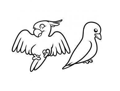 可爱的小鸟简笔画 小鸟的画法步骤图片素描-www.qqscb.com