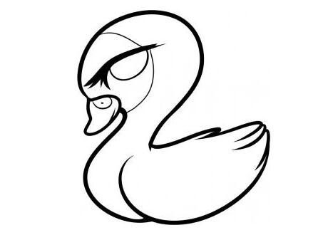美丽天鹅怎么画 天鹅的画法图解步骤-www.qqscb.com
