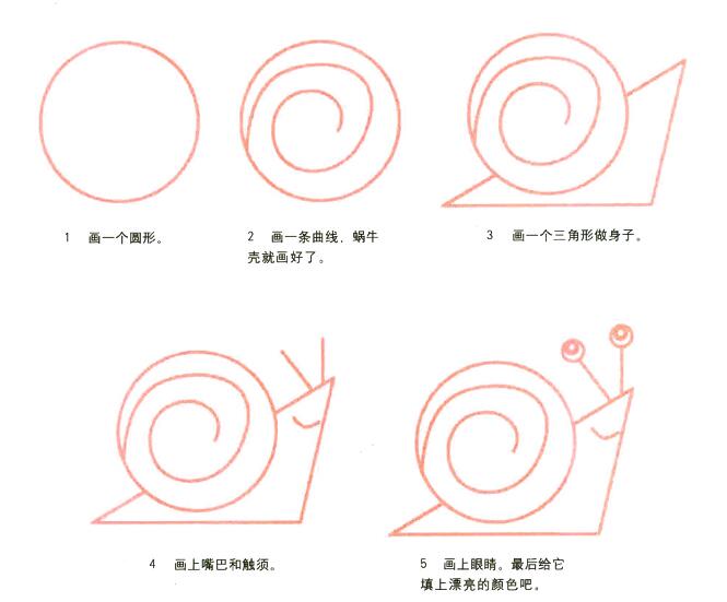 蜗牛怎么画 蜗牛的画法步骤图片素描-www.qqscb.com