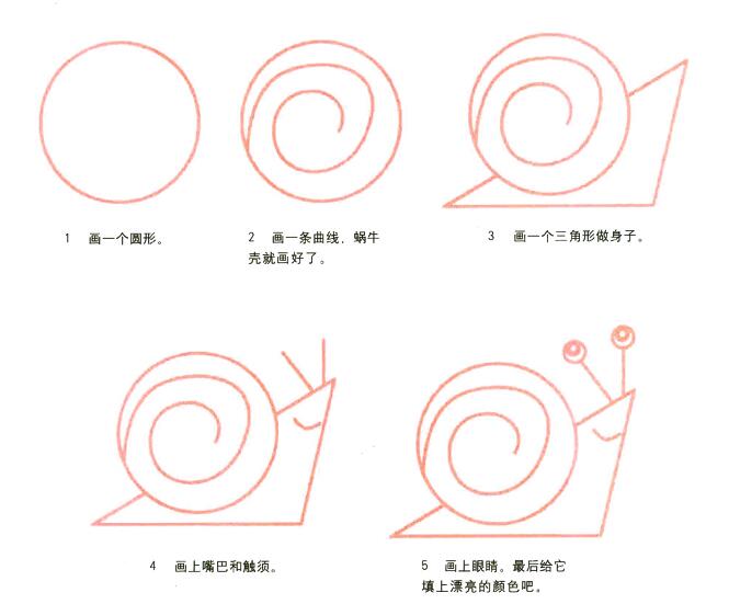 蜗牛怎么画 蜗牛的画法步骤图片素描-www.qqscb.com