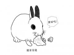 卡通小白兔怎么画 大兔子的画法图片素描
