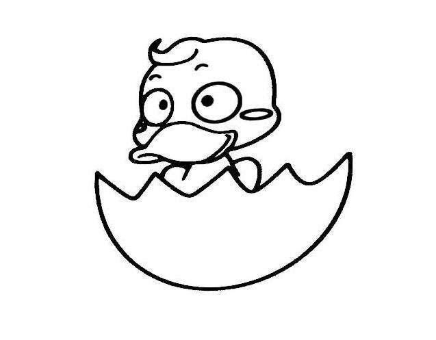 鸭子的画法刚刚出壳的小鸭子简笔画图片-www.qqscb.com