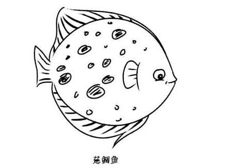 怎么画观赏鱼 热带鱼金鱼的画法步骤-www.qqscb.com