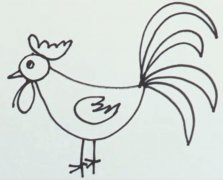 怎么画一只大公鸡 简笔画公鸡视频教程