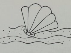 贝壳怎么画 美丽的贝壳简笔画视频教程