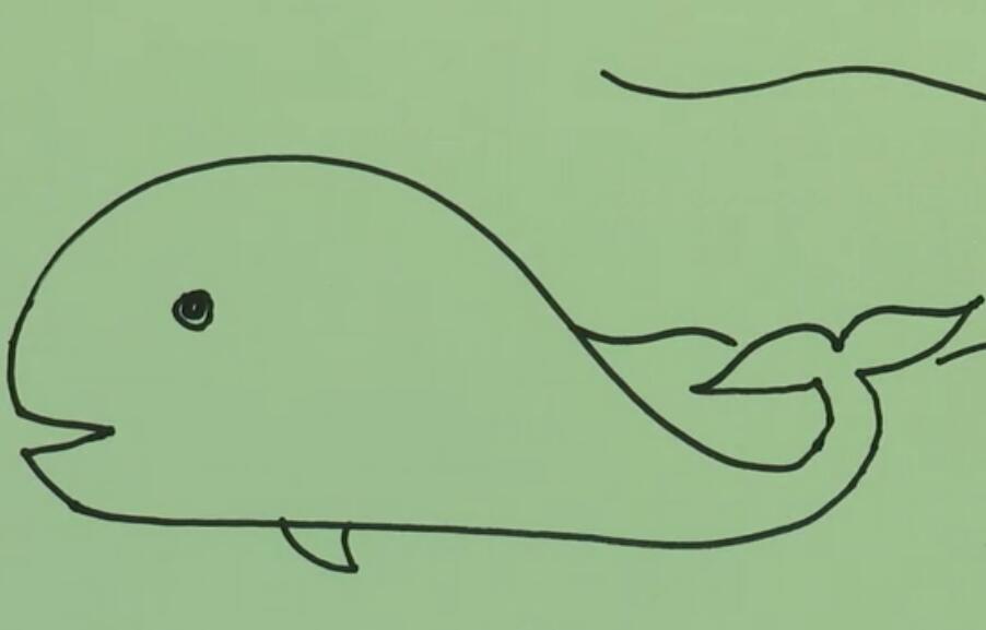 大鲸鱼怎么画 一条鲸鱼的画法视频教程-www.qqscb.com