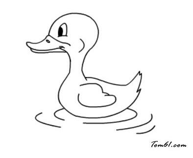 游泳的鸭子怎么画 小鸭简笔画的画法图片教程-www.qqscb.com