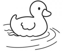 游泳的鸭子怎么画 小鸭简笔画的画法图片教程