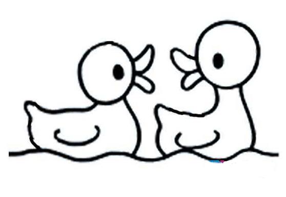 游泳的鸭子怎么画 小鸭简笔画的画法图片教程-www.qqscb.com