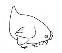 卡通母鸡怎么画 母鸡觅食的简笔画教程