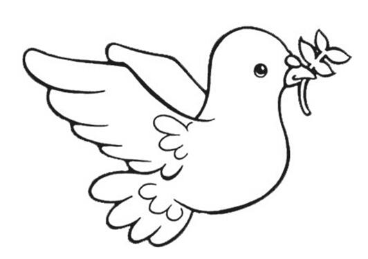 怎么画鸽子 和平鸽简笔画图片教程-qqscb.com