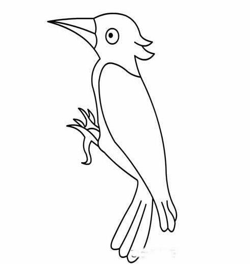 怎么画啄木鸟 卡通啄木鸟的画法教程-qqscb.com
