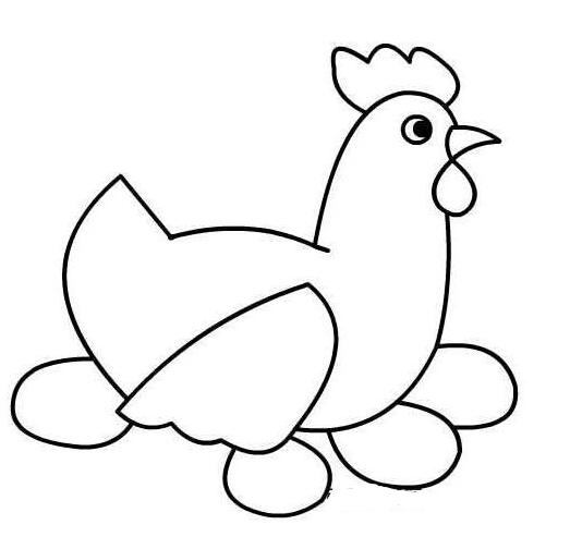 母鸡下蛋简笔画怎么画 母鸡孵蛋的画法素描-qqscb.com