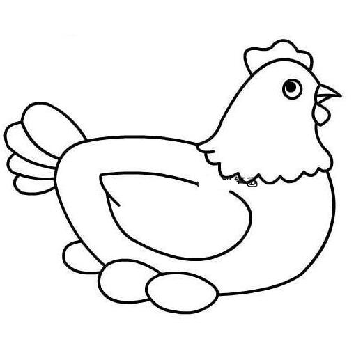 母鸡下蛋简笔画怎么画 母鸡孵蛋的画法素描-qqscb.com