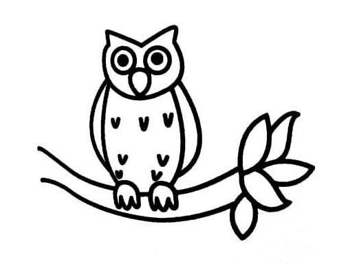 树枝上的猫头鹰怎么画 卡通猫头鹰的画法教程-qqscb.com