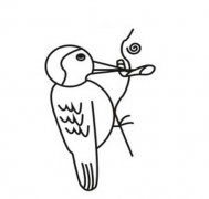 吃虫子的啄木鸟怎么画 啄木鸟简笔画图片