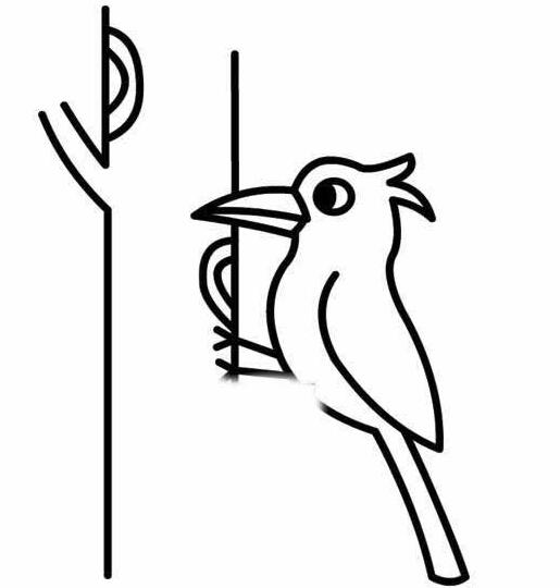 吃虫子的啄木鸟怎么画 啄木鸟简笔画图片-qqscb.com