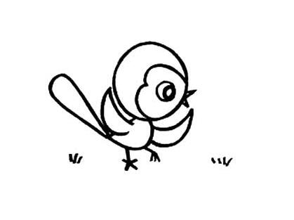 小鸟的简笔画怎么画 卡通小鸟的画法素描